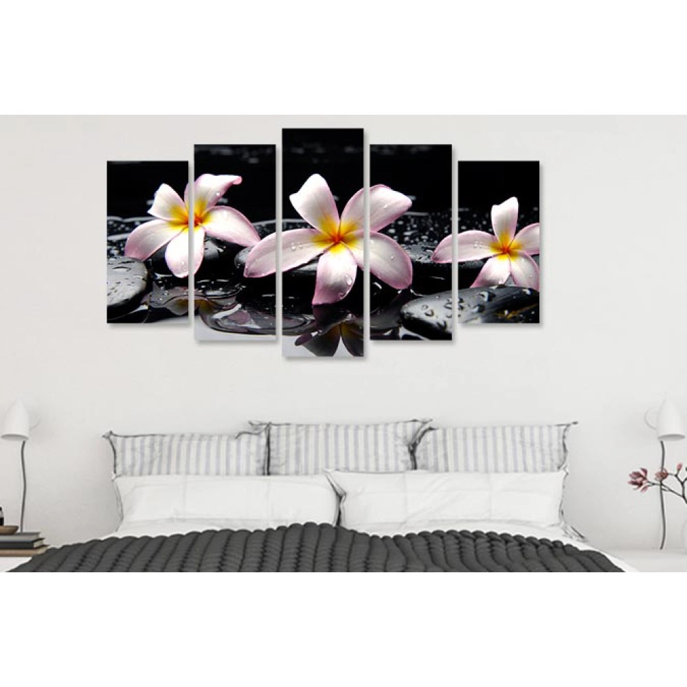 Tablouri Plumeria stropi 7540