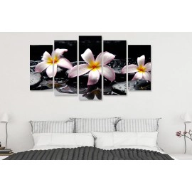 Tablouri Plumeria stropi 7540