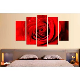 Tablouri decorative trandafir 9703