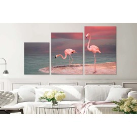 Pasari flamingo 4769