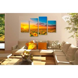 Campul soarelui 13421