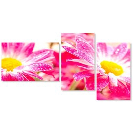 Gerbera roz-galben 7860