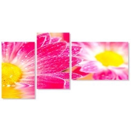 Flori gerbera roz 7848