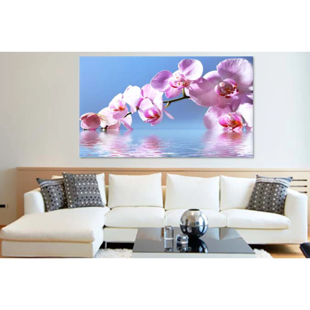 Orhidee in apa 64487