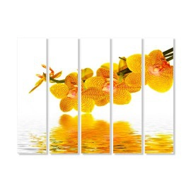 Tablouri Orhidee 53401