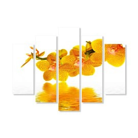 Tablouri Orhidee 53501