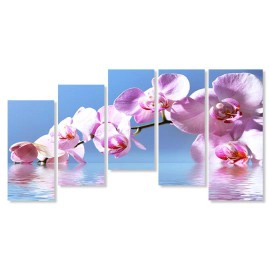 Orhidee fond blue 64087