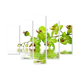 Tablouri Orhidee 2242