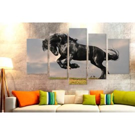 Tablouri canvas Friesian 6954