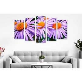 Tablouri aster mov 5764