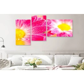 Flori gerbera roz 7848