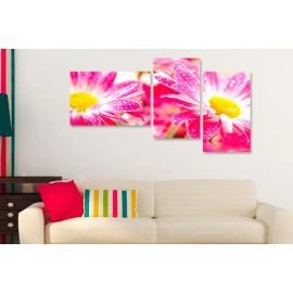 Gerbera roz-galben 7860