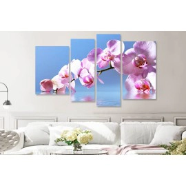 Tablouri orchid 6487