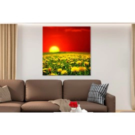 Tablouri Papadie 55743