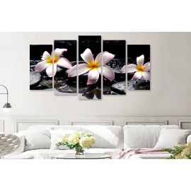 Tablouri Plumeria stropi 7540