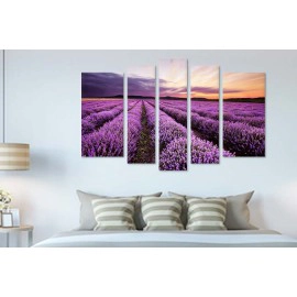 Tablouri moderne Lavanda 6022