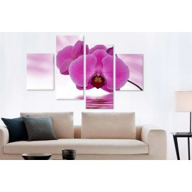 Tablouri Orhidee 40415