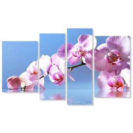 Tablouri orchid 6487