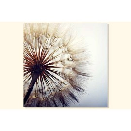 Tablou canvas flori papadie