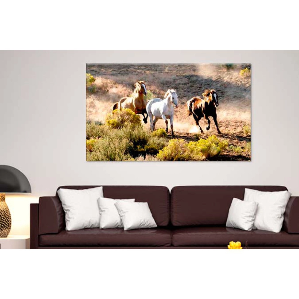 Tablouri Horses 34431