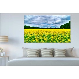 Tablouri yellow 30438