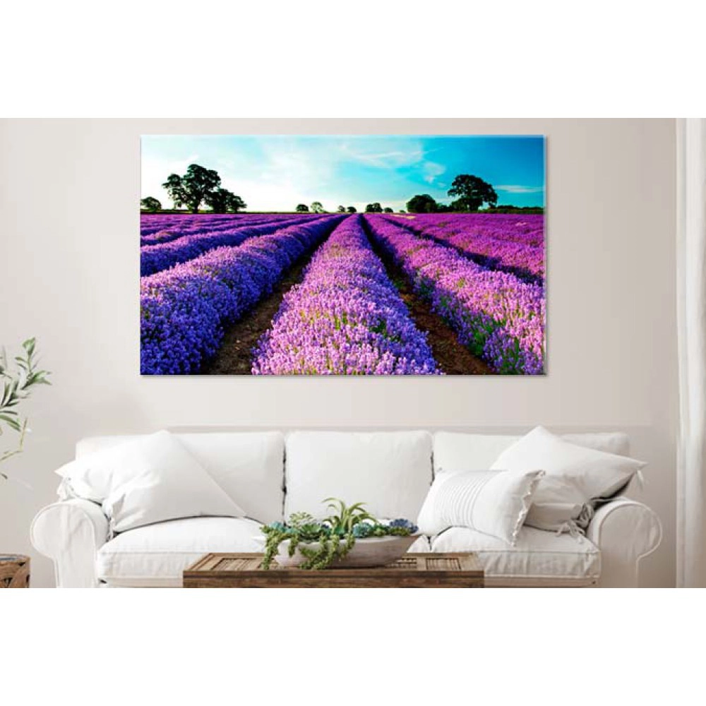 Tablouri Lavanda 26991