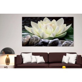 Tablouri Nufar in apa 17569