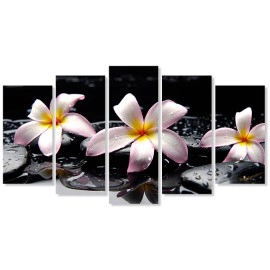 Tablouri Plumeria stropi 7540