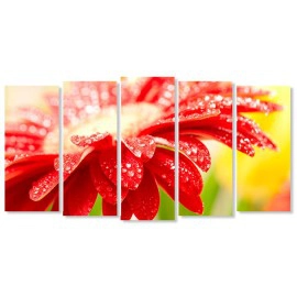 Margareta close up 15915