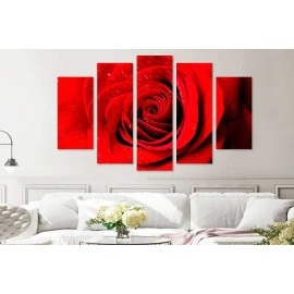 Tablouri decorative trandafir 9703