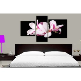 Tablouri decorative magnolia 10814