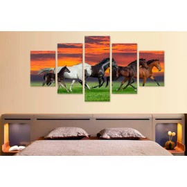 Tablouri living cai in asfintit