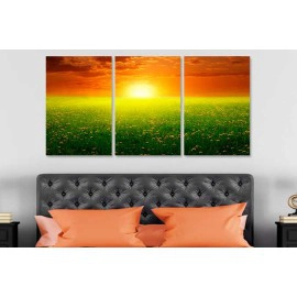 Tablouri canvas camp cu flori