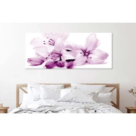 Crini cu boboci 25230