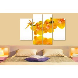 Tablouri Orhidee 5301