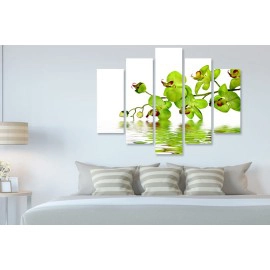 Tablouri Orhidee 2242