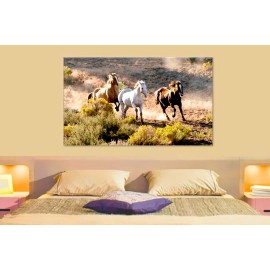 Tablouri Horses 34431