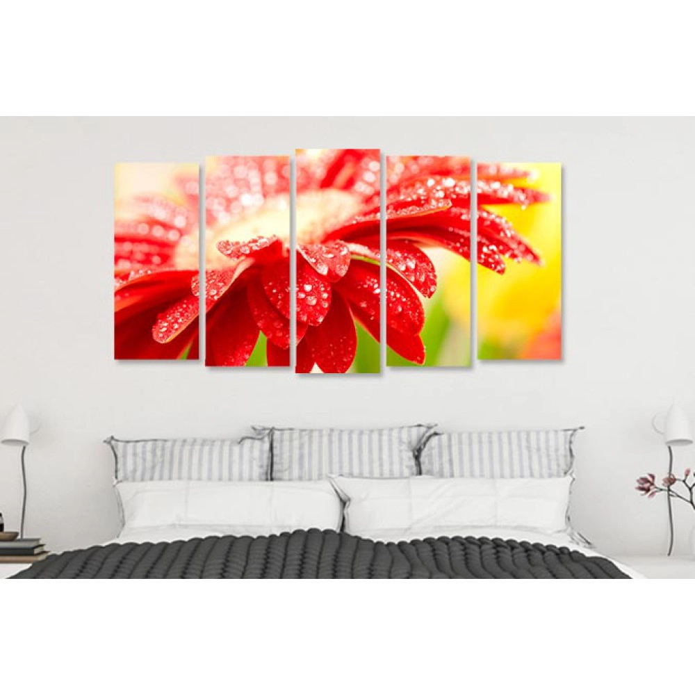 Margareta close up 15915