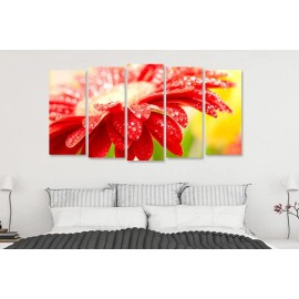 Margareta close up 15915