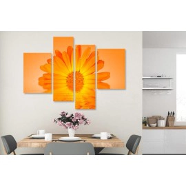 Tablouri flower 6144