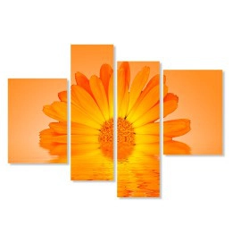 Tablouri flower 6144