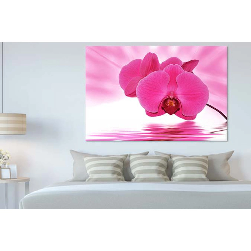 Tablouri Orhidee 40315