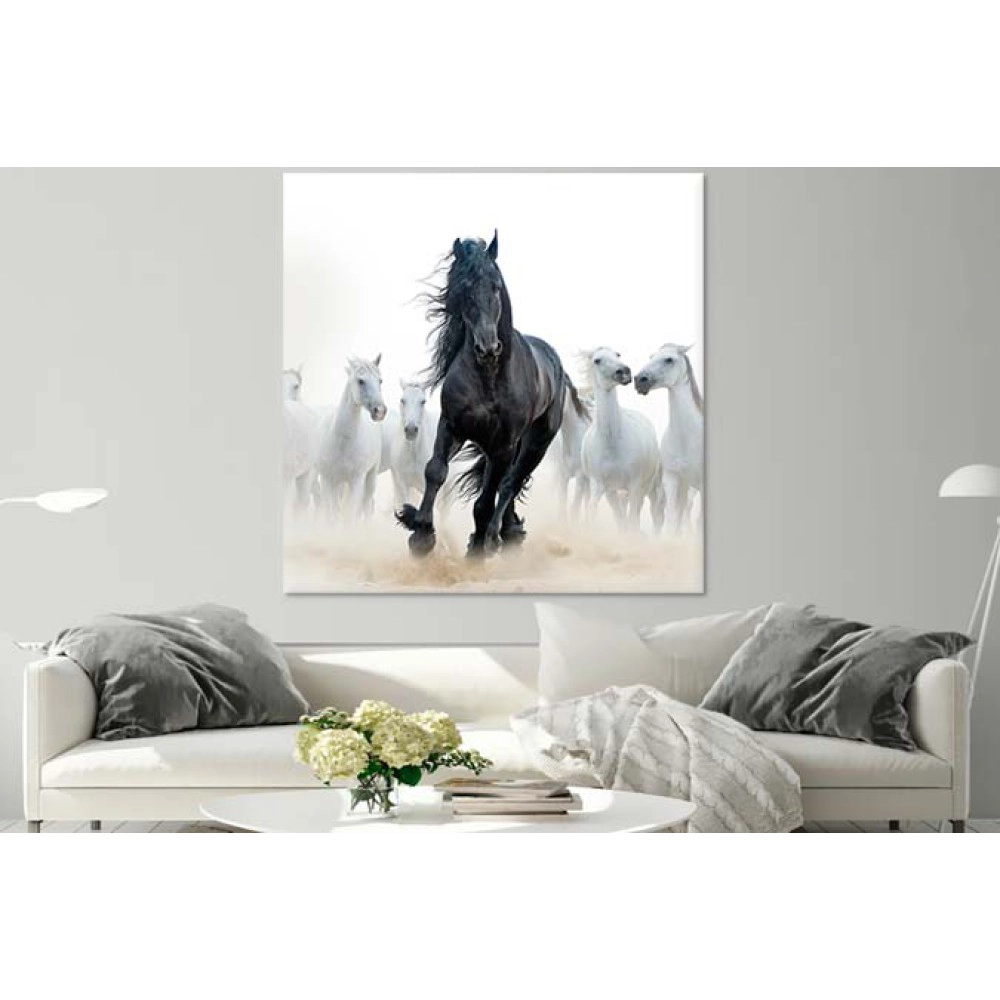 Tablouri living calul negru 65214