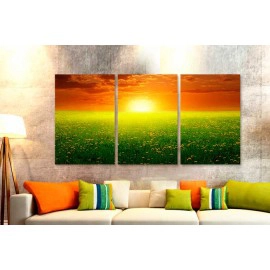 Tablouri canvas camp cu flori