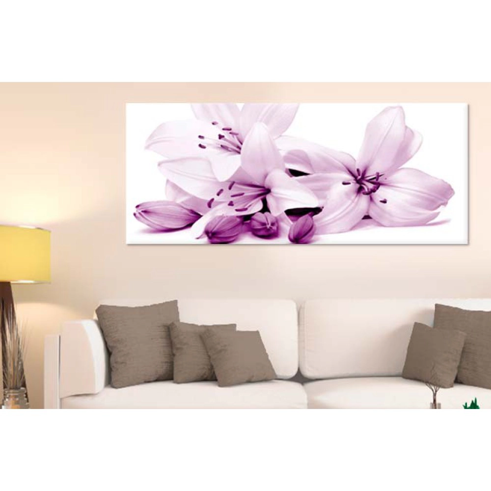 Crini cu boboci 25230