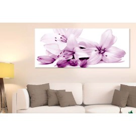 Crini cu boboci 25230