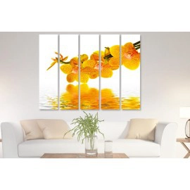 Tablouri Orhidee 53401