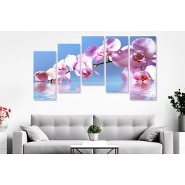 Orhidee fond blue 64087