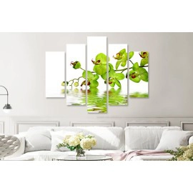 Tablouri Orhidee 2242