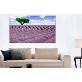 Tablouri Lavanda 33083